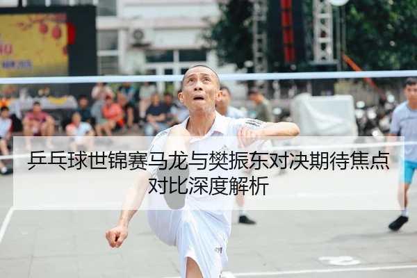 乒乓球世锦赛马龙与樊振东对决期待焦点对比深度解析